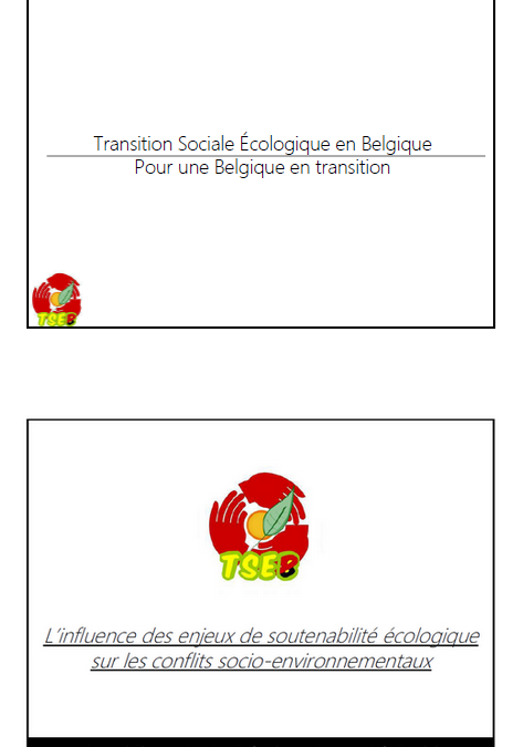 Quelle est l&rsquo;Influence des enjeux de soutenabilité écologique sur les conflits ?